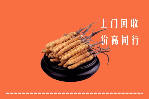 高价求购：寿县回收散虫草