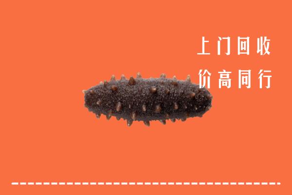 高价求购：寿县回收海参